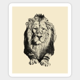 Lion Sticker